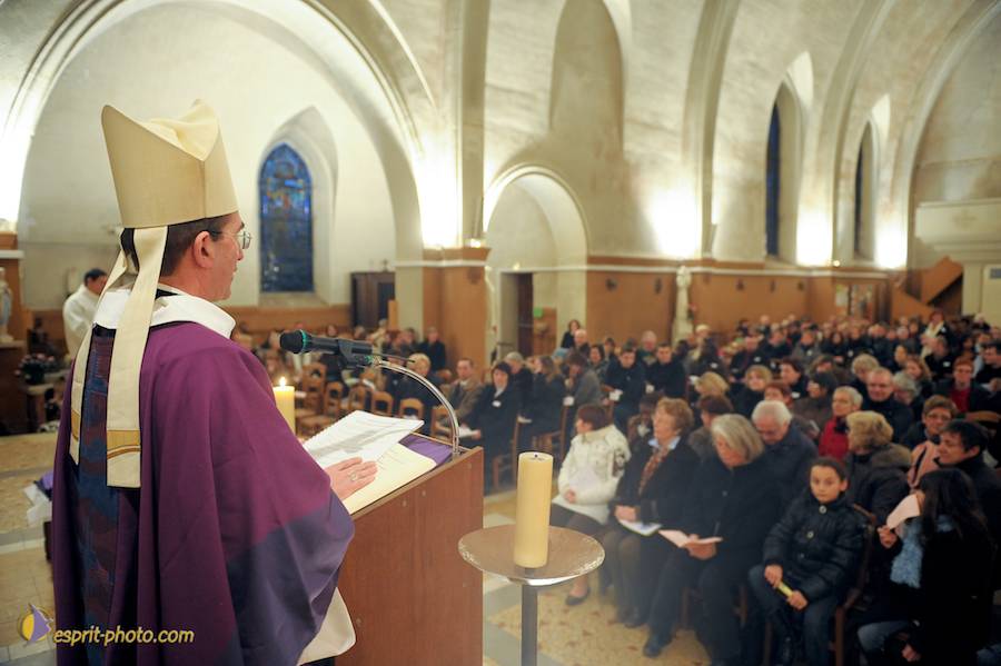 Nom de l'image : D30094942_1_(c)Norbert-JUNG — Description :